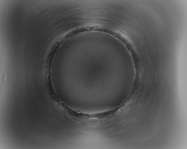 X0000089690920200707051622