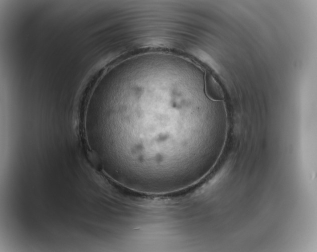 X0000089690922200707051622