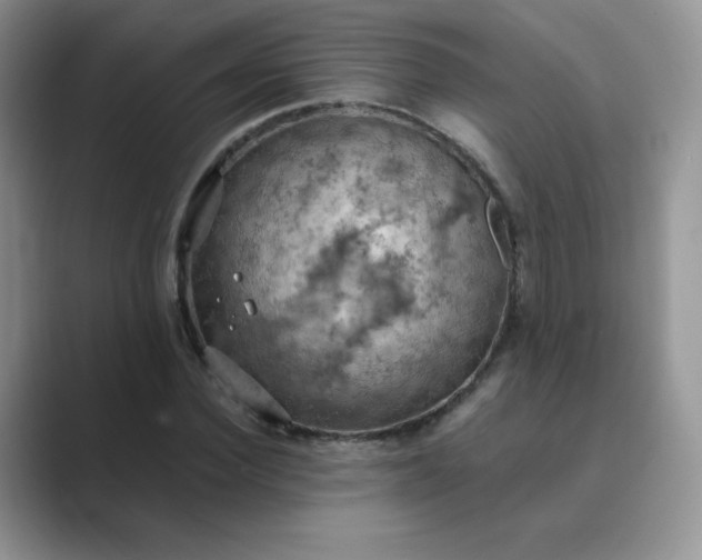 X0000089690924200707051622