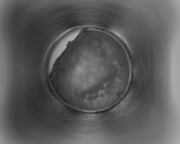 X0000089690925200707051622