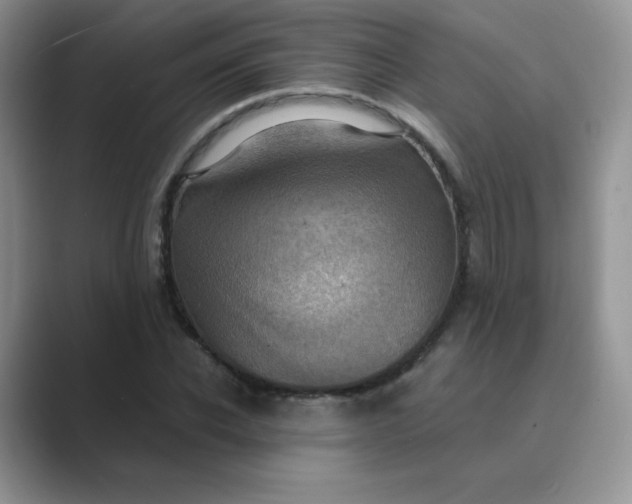 X0000089690926200707051622