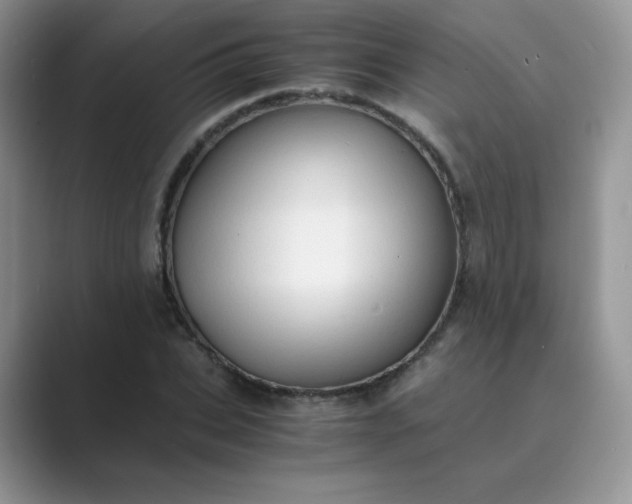 X0000089690927200707051622