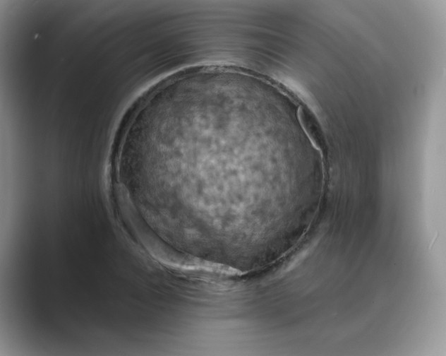 X0000089690928200707051622