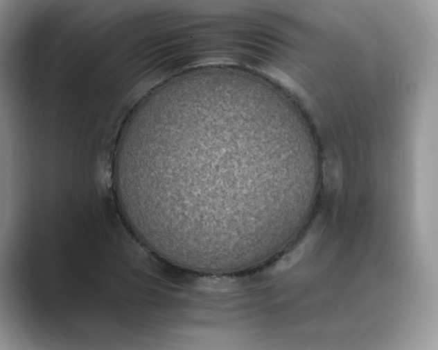 X0000089690929200707051622