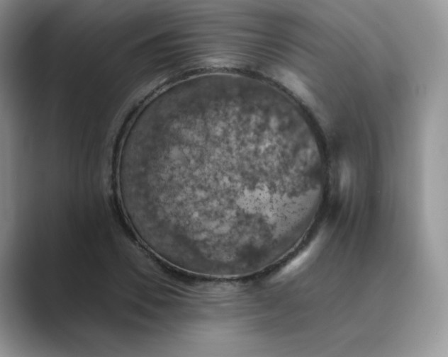 X0000089690930200707051622