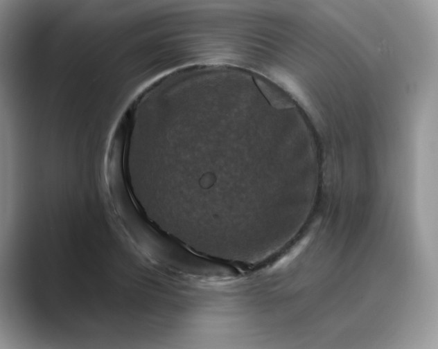 X0000089690932200707051622