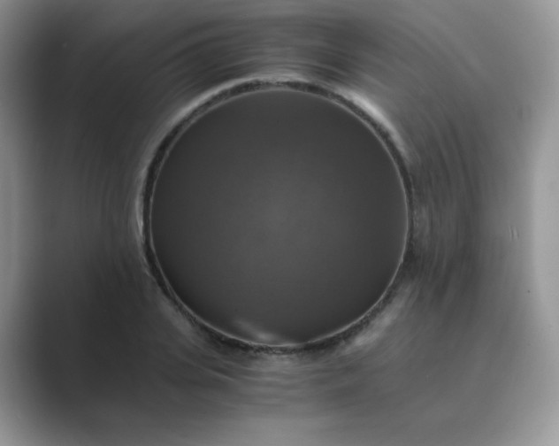 X0000089690935200707051622