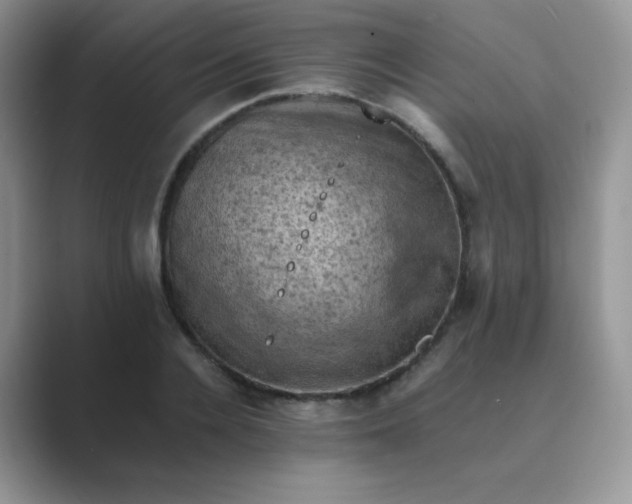 X0000089690936200707051622