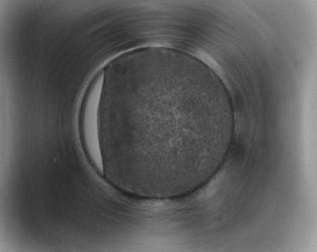 X0000089690939200707051622