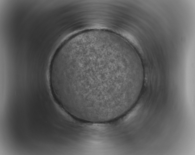 X0000089690942200707051622