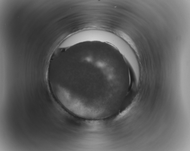 X0000089690946200707051622