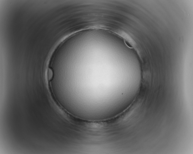 X0000089690947200707051622