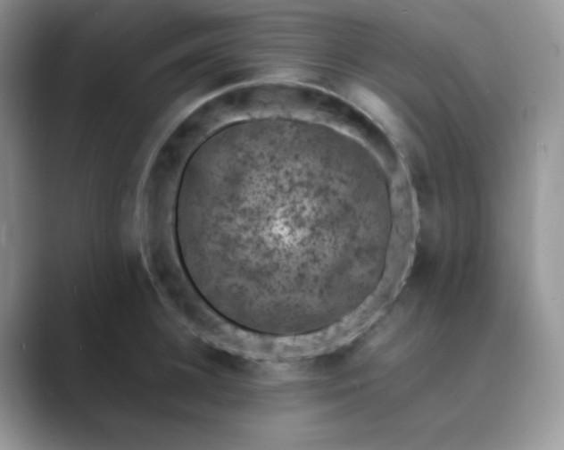 X0000089690948200707051622