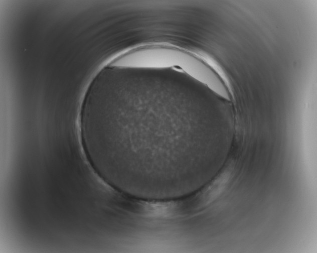 X0000089690951200707051622