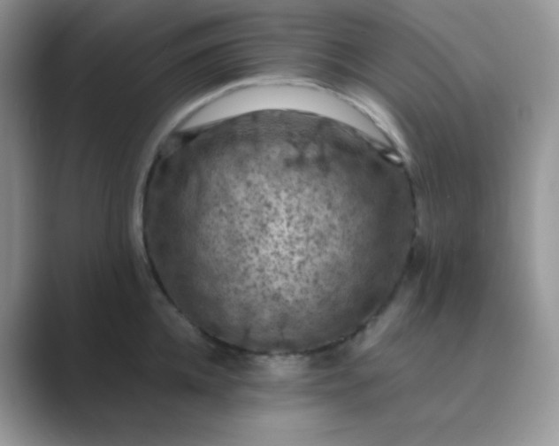 X0000089690952200707051622