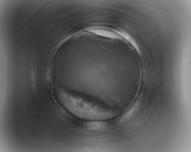 X0000089690953200707051622