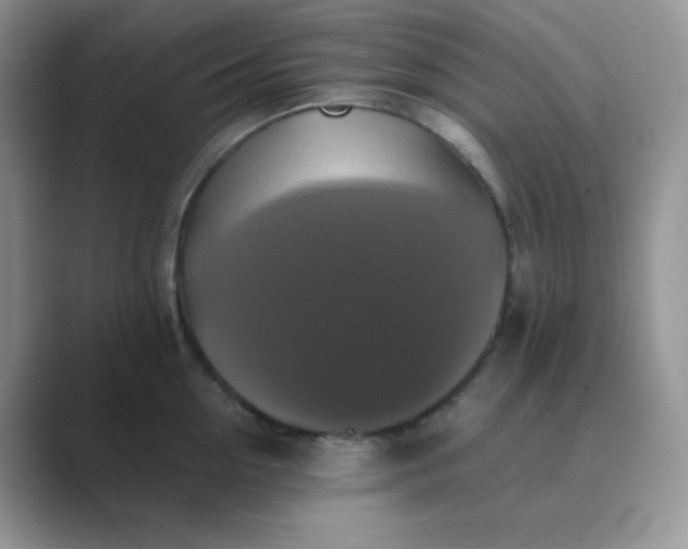 X0000089690954200707051622