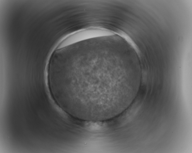 X0000089690955200707051622