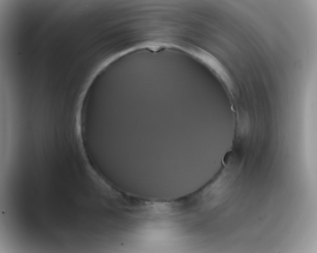 X0000089690958200707051622