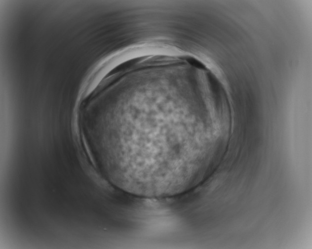 X0000089690960200707051622