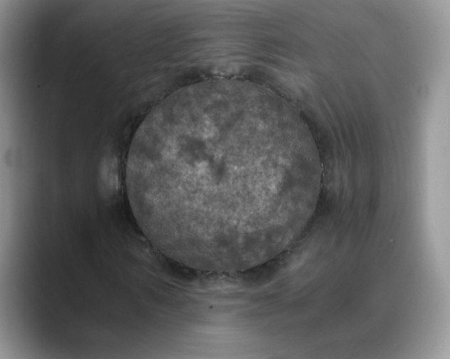 X0000089690962200707051622