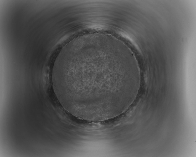 X0000089690968200707051622