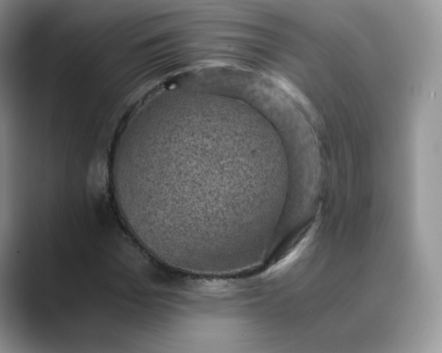 X0000089690969200707051622