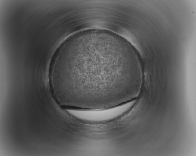 X0000089690972200707051622