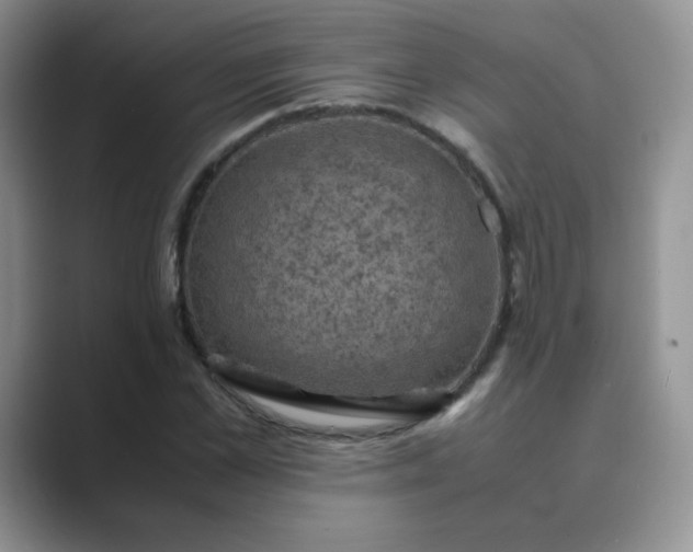 X0000089690973200707051622