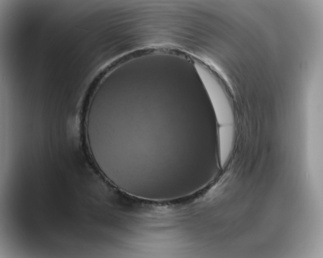 X0000089690975200707051622