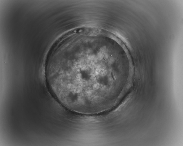 X0000089690976200707051622