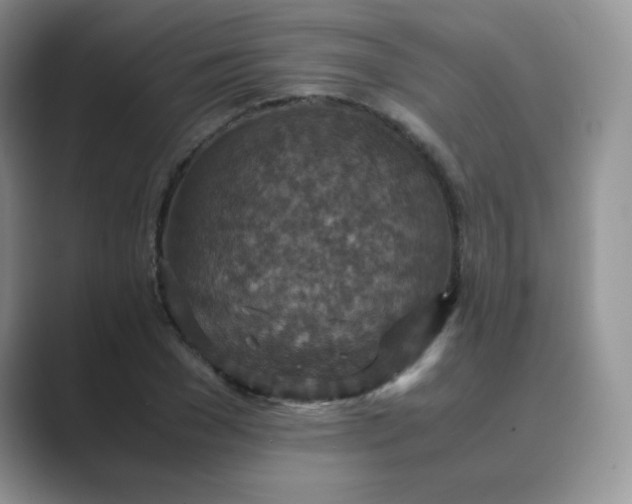 X0000089690977200707051622