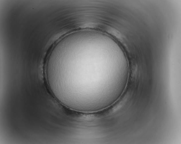 X0000089690978200707051622