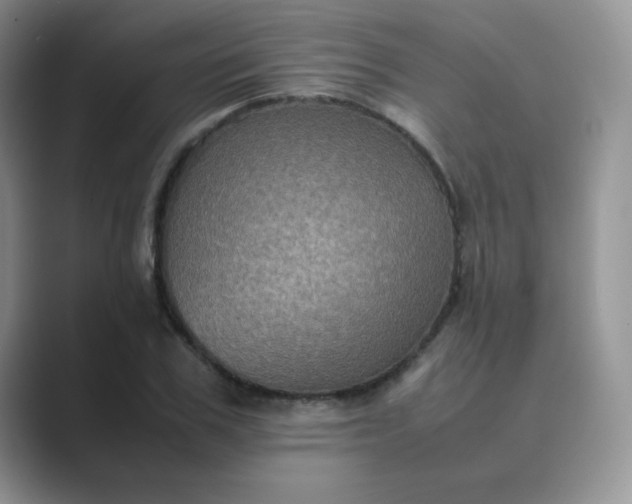 X0000089690979200707051622