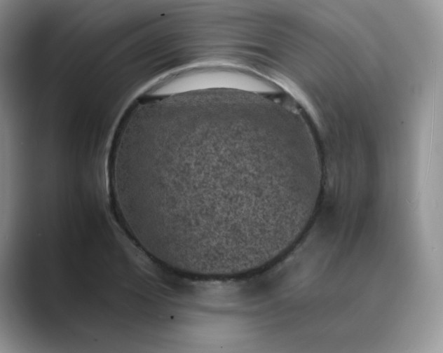 X0000089690980200707051622