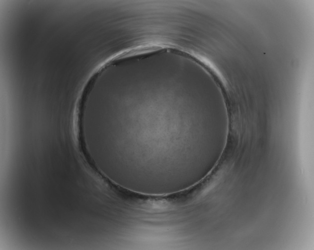 X0000089690983200707051621