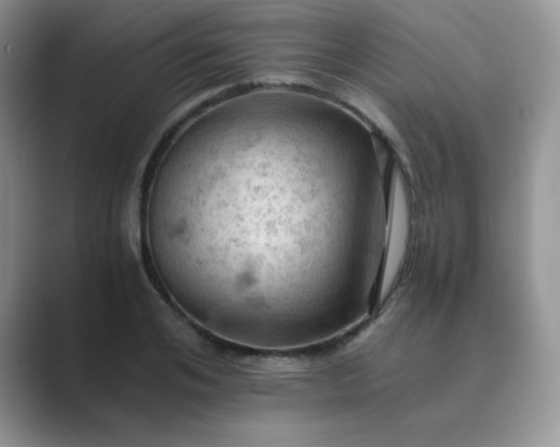 X0000089690984200707051621