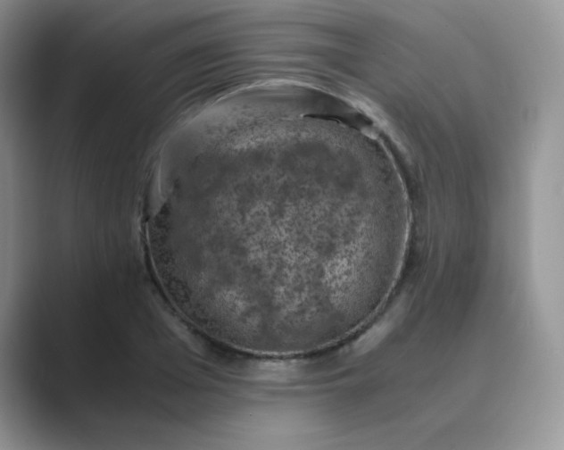 X0000089690985200707051621