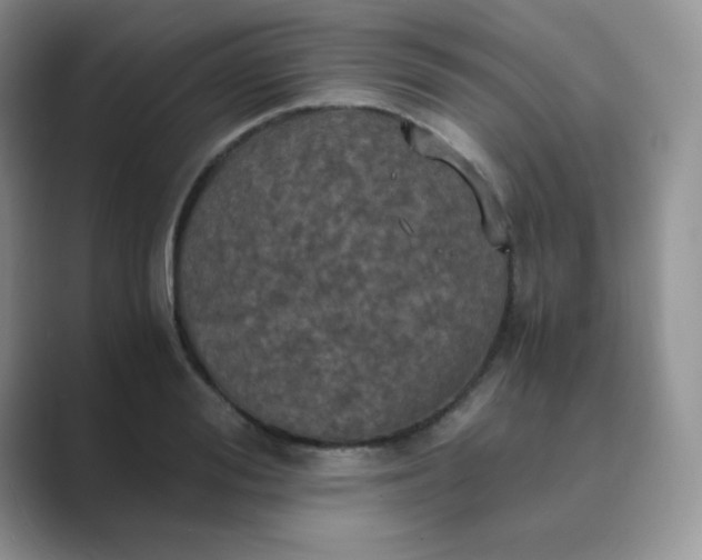 X0000089690988200707051621