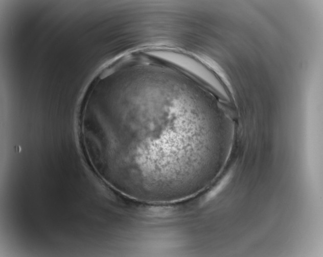 X0000089690989200707051621