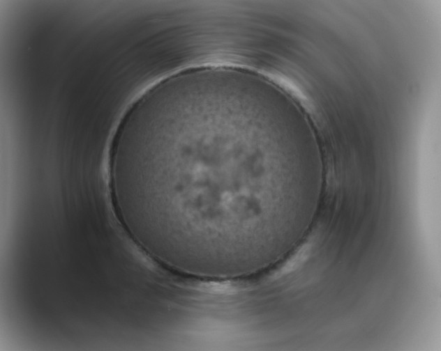 X0000089690990200707051621