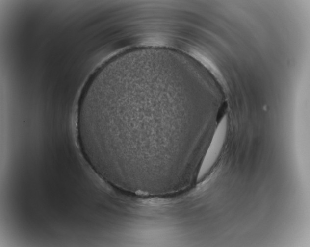 X0000089690992200707051621