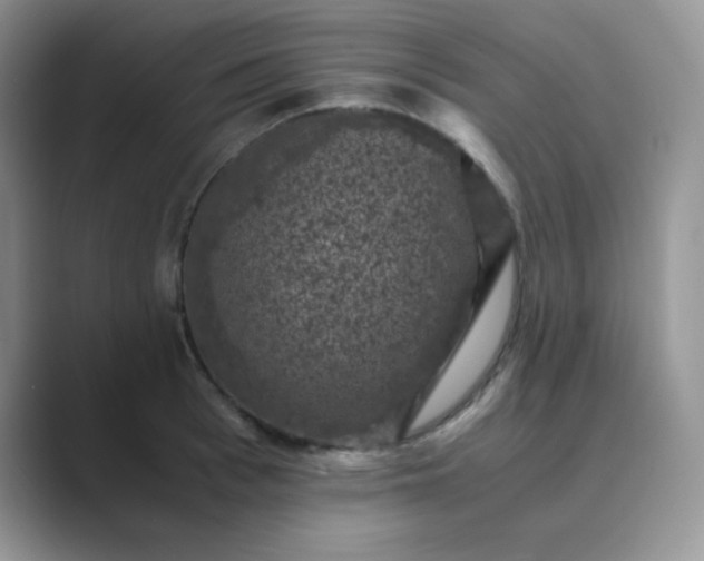 X0000089690993200707051621