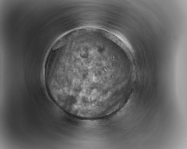 X0000089690996200707051621