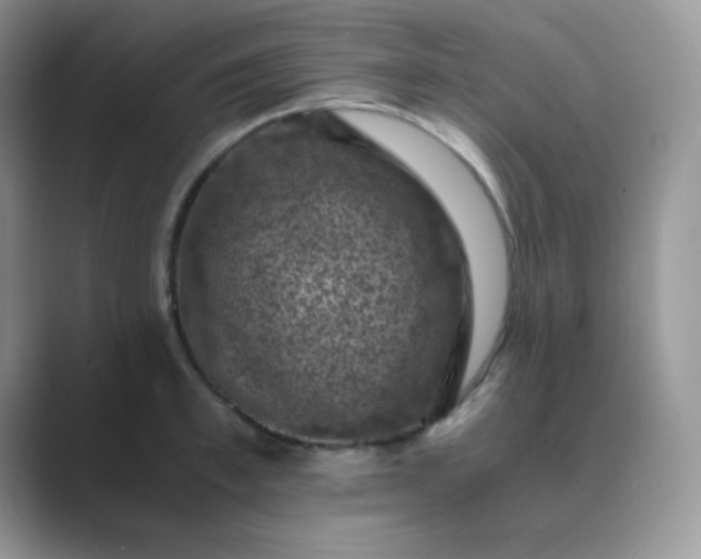 X0000089690997200707051621