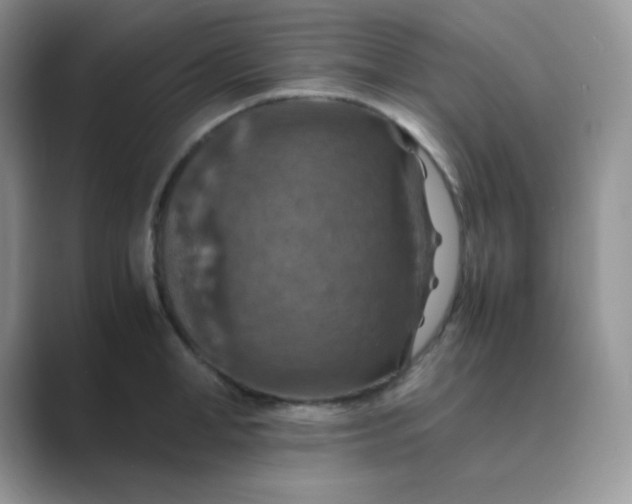 X0000089690998200707051621