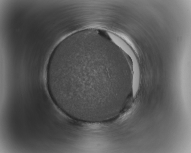 X0000089690999200707051621