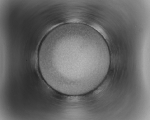 X0000089691000200707051621