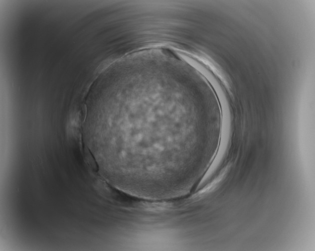 X0000089691001200707051621