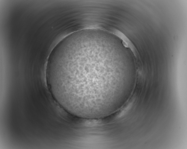 X0000089691002200707051621